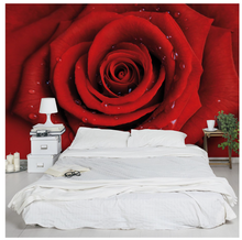 Lade das Bild in den Galerie-Viewer, REDUZIERT! -40% Vliestapete Rote Rose mit Wassertropfen Vliespapier - Rot - 480 x 320 cm
